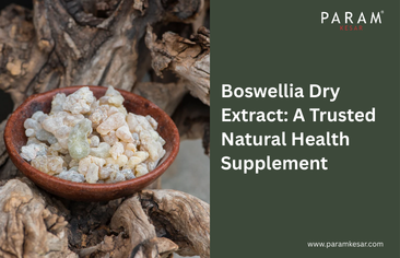 Boswellia Dry Extract: A Trusted Natural Health Supplement